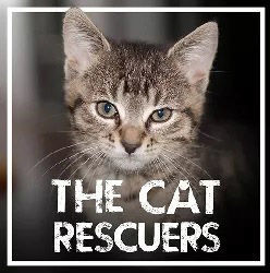 ‘The Cat Rescuers’ documentary screening